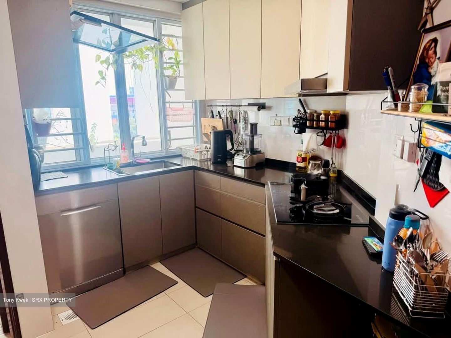 Northoaks (D25), Condominium #578495941